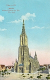 ulm005