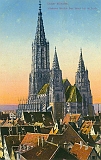 ulm006