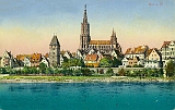 ulm018