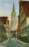 ulm022