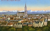 ulm031